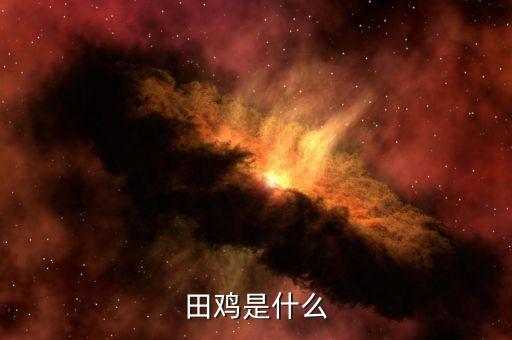 田鸡是什么
