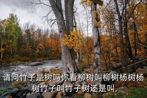 请问竹子是树吗你看柳树叫柳树杨树杨树竹子叫竹子树还是叫