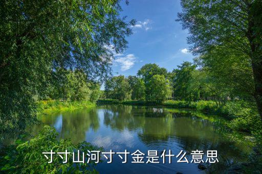 寸寸金，寸寸山河寸寸金是什么意思