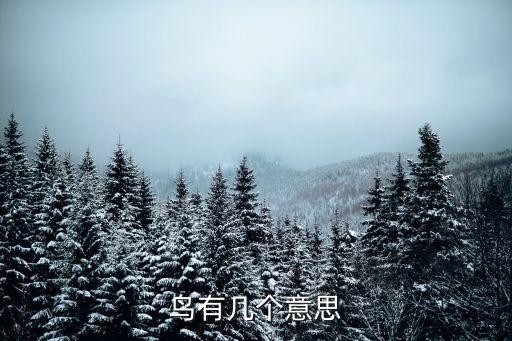 鸟有几个意思