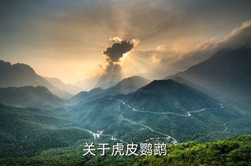 关于虎皮鹦鹉