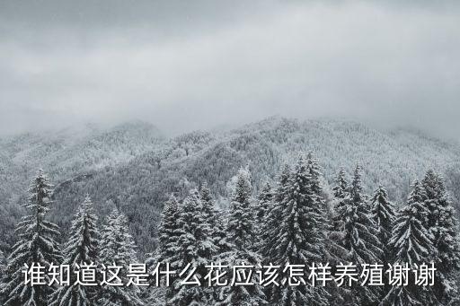 倒挂金钩花怎么养，螃蟹爪花如何饲养