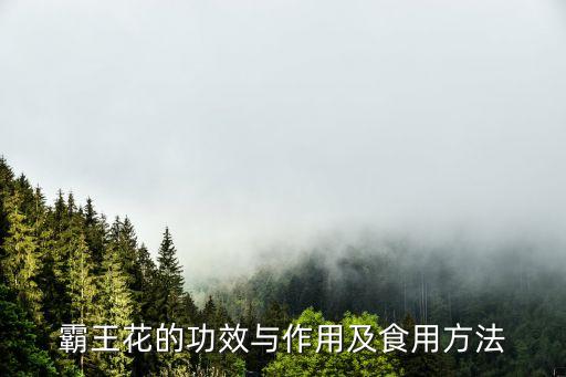 霸王花的功效与作用，霸王花的功效与作用及食用方法