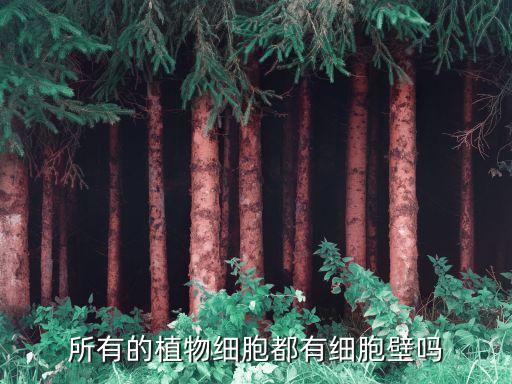 植物细胞壁，植物细胞都有细胞壁吗