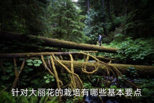 针对大丽花的栽培有哪些基本要点