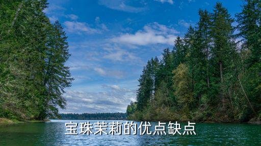 宝珠茉莉的优点缺点