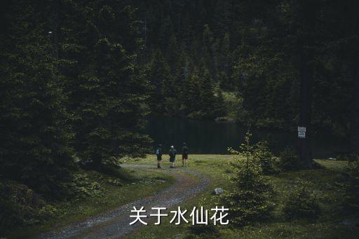 关于水仙花