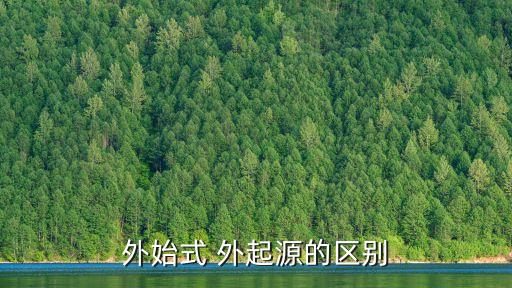 外始式，外始式 外起源的区别