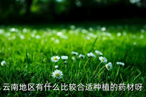 药材种植，云南种植什么药材好