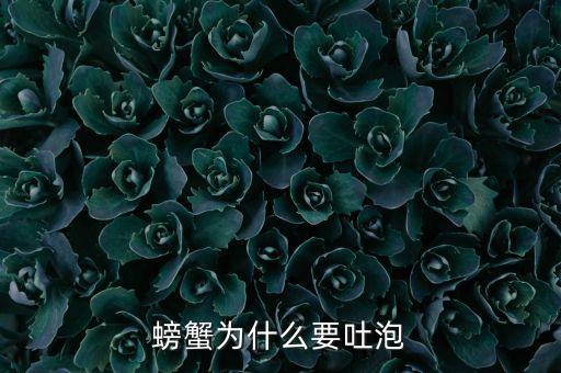 螃蟹为什么要吐泡