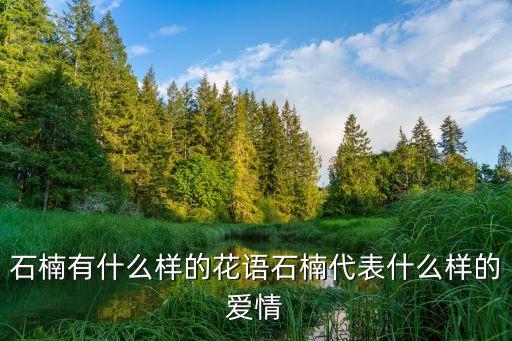 石楠，什么是石楠