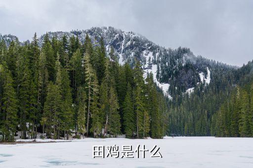 田鸡是什么东西，田鸡是什么