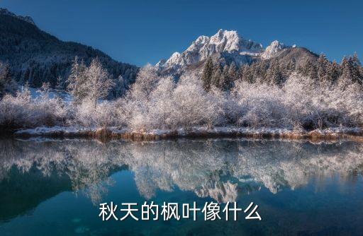 秋天的枫叶像什么
