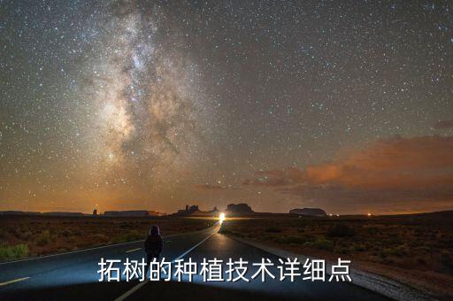 拓树的种植技术详细点