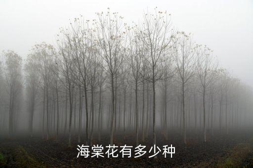 三叶海棠，请高人指点鲁冰花的学名及别名