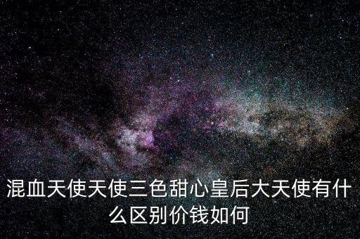 混血天使天使三色甜心皇后大天使有什么区别价钱如何