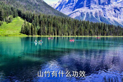 山竹的功效和作用，山竹功能是什么谢谢了