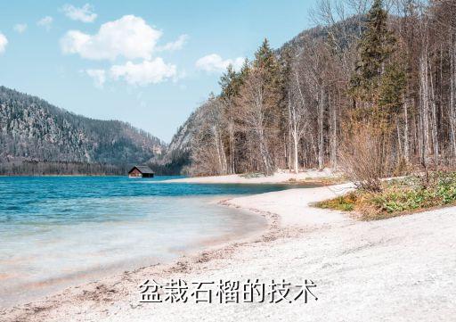 盆栽石榴，石榴可以盆栽吗