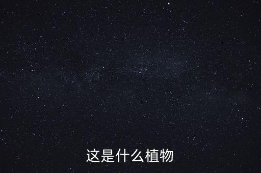 这是什么植物