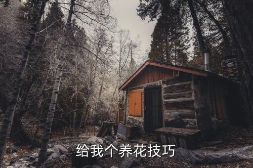 给我个养花技巧