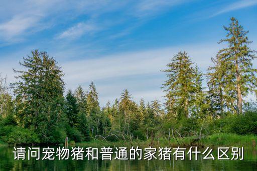 请问宠物猪和普通的家猪有什么区别