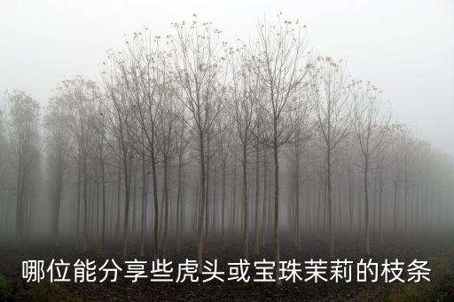 哪位能分享些虎头或宝珠茉莉的枝条