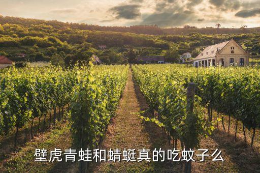 壁虎青蛙和蜻蜓真的吃蚊子么
