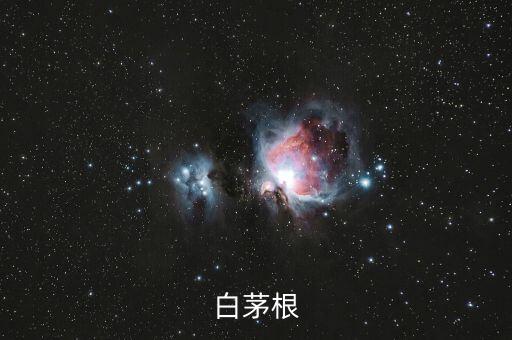 白茅根