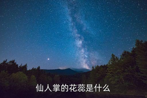 仙人掌的花蕊是什么