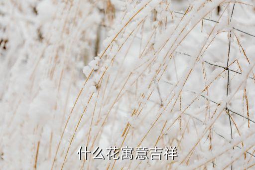 寓意好的花有哪些，什么花寓意吉祥