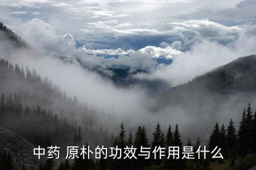厚朴功效和作用，请问厚朴的作用