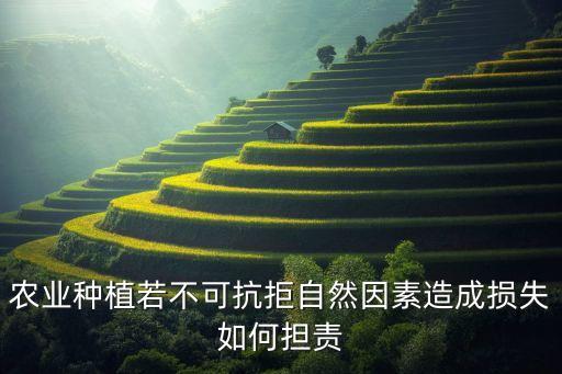 投资农业怎么赔偿，占用农民土地