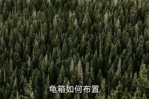 龟箱，养龟的龟箱是怎样做