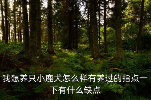 我想养只小鹿犬怎么样有养过的指点一下有什么缺点