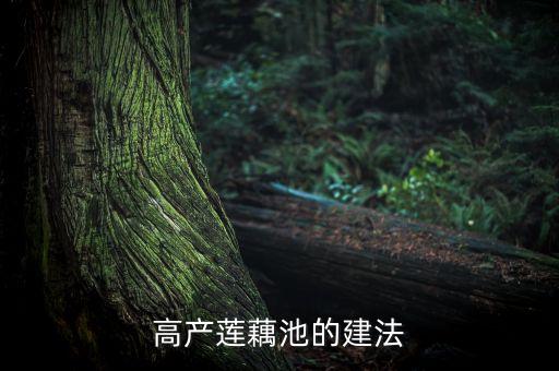 藕池，宁波藕池是什么区