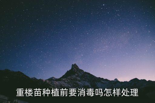 重楼苗种植前要消毒吗怎样处理