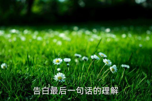 告白最后一句话的理解
