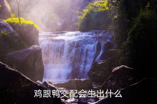 鸡鸭交配，鸡和鸭可以交配吗
