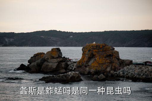 螽斯是什么虫子，螽斯是什么昆虫