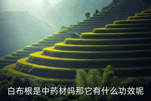白茅根的作用，白茅根煮水喝有什么作用