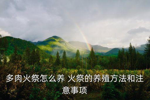 多肉火祭怎么养 火祭的养殖方法和注意事项