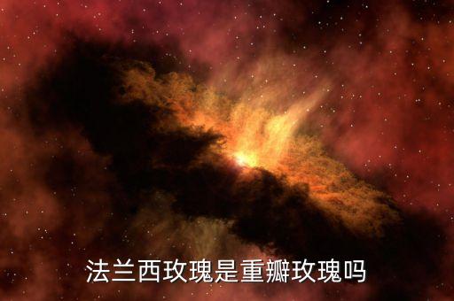 法国玫瑰，法兰西玫瑰是重瓣玫瑰吗