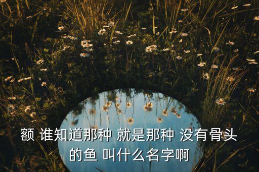 无骨鱼是什么鱼，额 谁知道那种 就是那种 没有骨头的鱼 叫什么名字啊