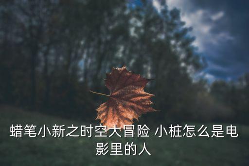 小桩，蜡笔小新之时空大冒险 小桩怎么是电影里的人