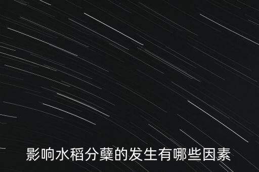 影响水稻分蘖的发生有哪些因素