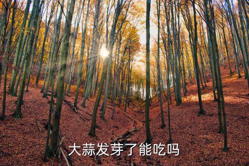 大蒜发芽了能吃吗