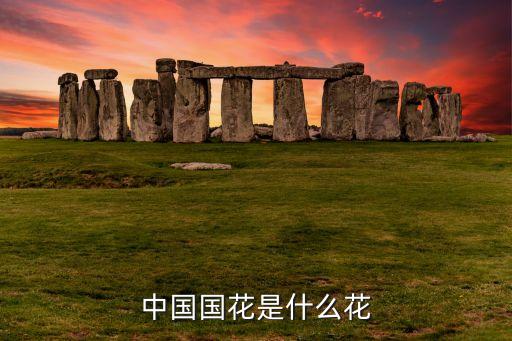 中国国花是什么花
