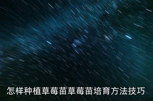 草莓苗，怎么用草莓的种子来培育草莓苗