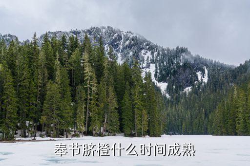 脐橙几月份成熟，奉节脐橙什么时间成熟