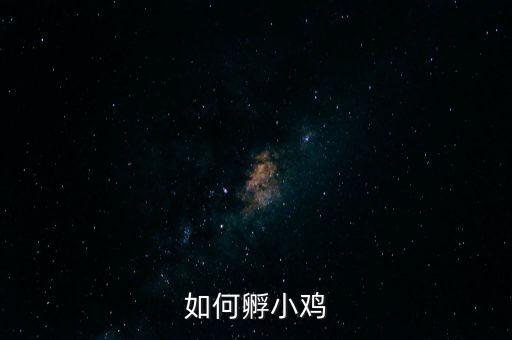 如何孵小鸡